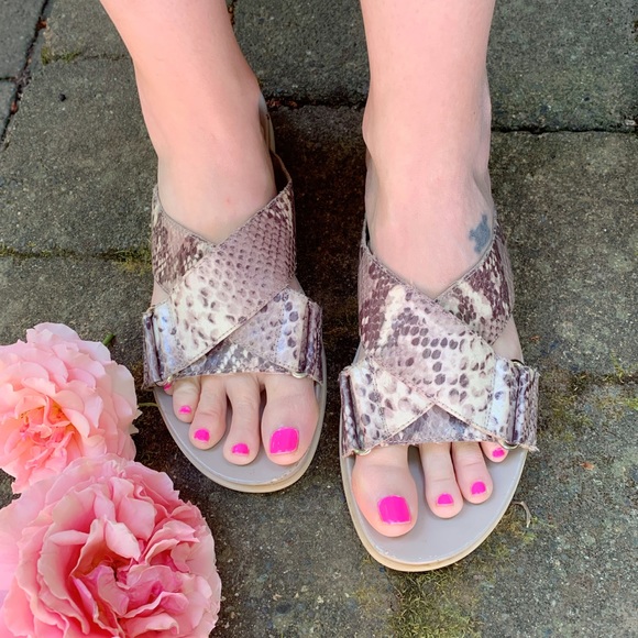 Franco Sarto Shoes - FRANCO SARTO, Lure, snake print sandals!!